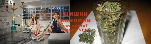 spice Беломорск