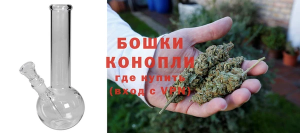 метадон Белокуриха