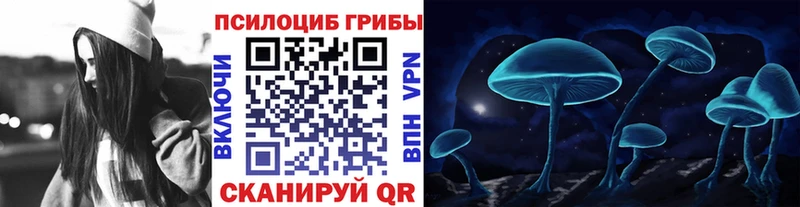 где купить   Богучар  Галлюциногенные грибы Psilocybine cubensis 