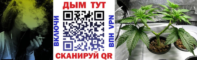 darknet официальный сайт Богучар Марихуана White Widow